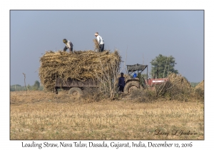 Loading Straw