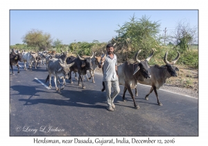 Herdsman