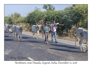 Herdsmen