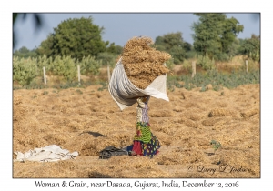 Women & Grain