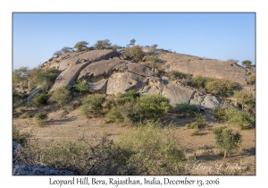 Leopard Hill