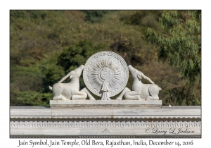 Jain Symbol