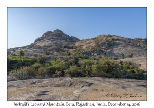Indrajit's Leopard Mountain