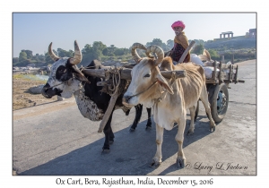 Ox Cart