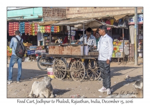 Food Cart