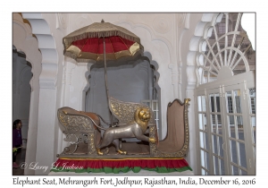 Elephant Seat