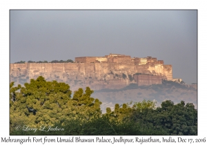 Mehrangarh Fort