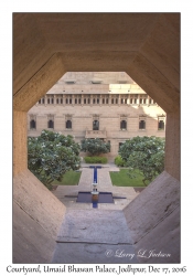 Plumeria Courtyard View