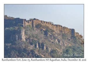 Ranthambore Fort