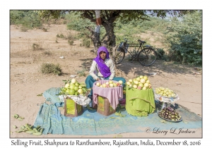 Selling Fruit