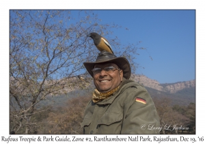 Rufous Treepie & Park Guide