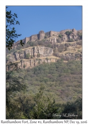 Ranthambore Fort