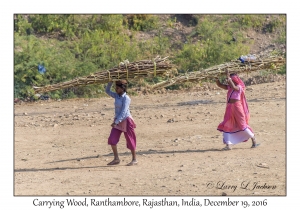 Carrying Wood