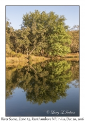 River Scene