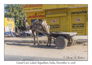 Camel Cart