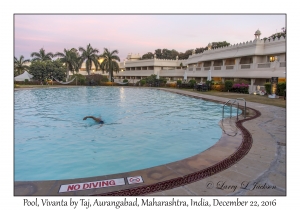 Pool, Vivanta by Taj