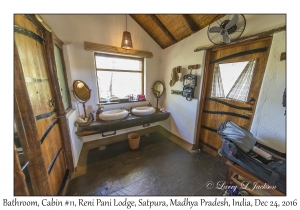 Bathroom, Cabin #11