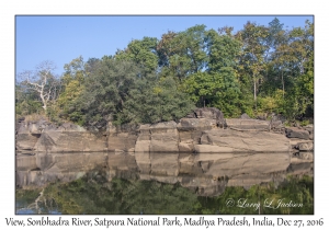 Shoreline, Sonbhadra River