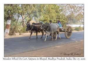 Ox Cart