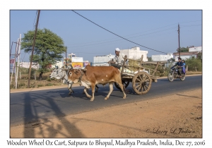 Ox Cart