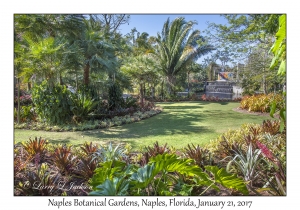 Naples Botanical Gardens