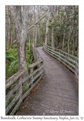 Boardwalk