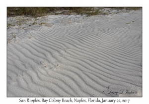 Sand Ripples