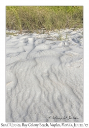 Sand Ripples