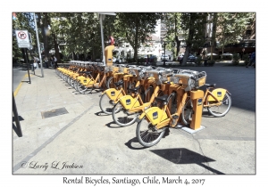 Rental Bicycles