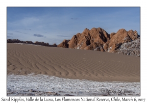 Sand Ripples