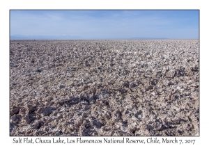 Salt Flat