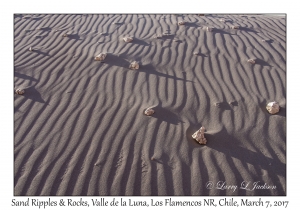 Sand Ripples & Rocks