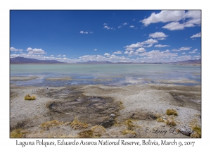 Laguna Polques