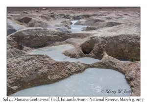 Muddy Pools