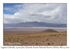 Laguna Colorada