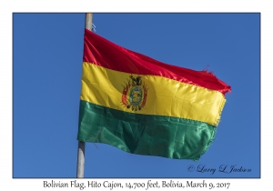 Bolivian Flag