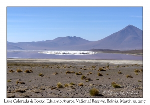 Lake Colorada & Borax