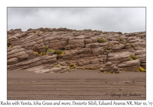 Rocks, Yareta and Ichu Grass