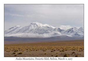 Andes Mountains