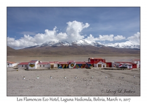 Los Flamencos Eco Hotel