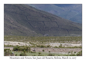 Mountain-side Fences