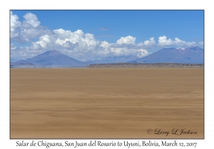 Salar de Chiguana