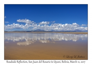 Roadside Reflection