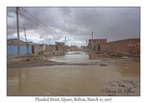 Flooded Street