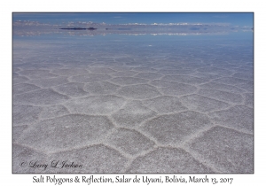 Salt Polygons & Reflection