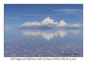 Salt Polygons & Reflection