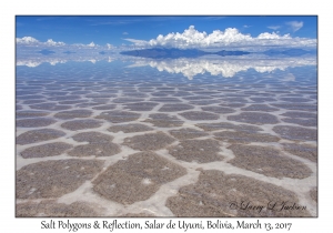 Salt Polygons & Reflection