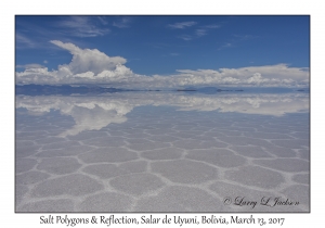 Salt Polygons & Reflection