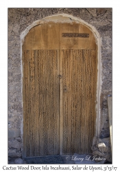 Cactus Wood Doors