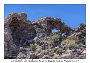 Coral Arch